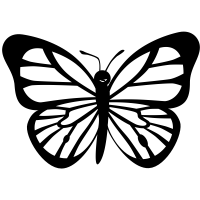 Butterfly Spread