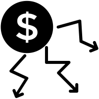 Capital Loss