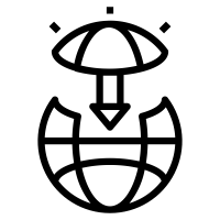 Capital Stock