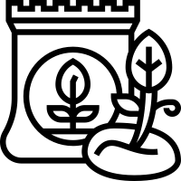 Seed Stock