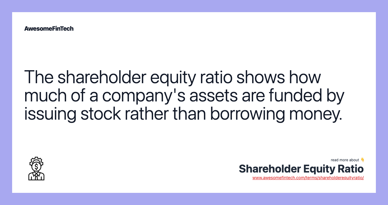 The shareholder equity ratio shows how much of a company's assets are funded by issuing stock rather than borrowing money.