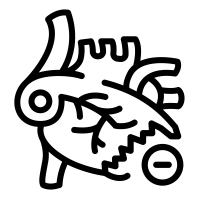 Zero-Day Attack